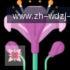 问鼎娱乐 logo