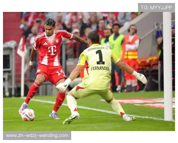 德甲控制球队：大企业与足球的结合