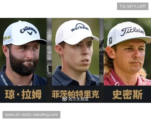 高尔夫世界排名最新动态卡梅隆-杨保持第三菲茨帕特里克升至第六